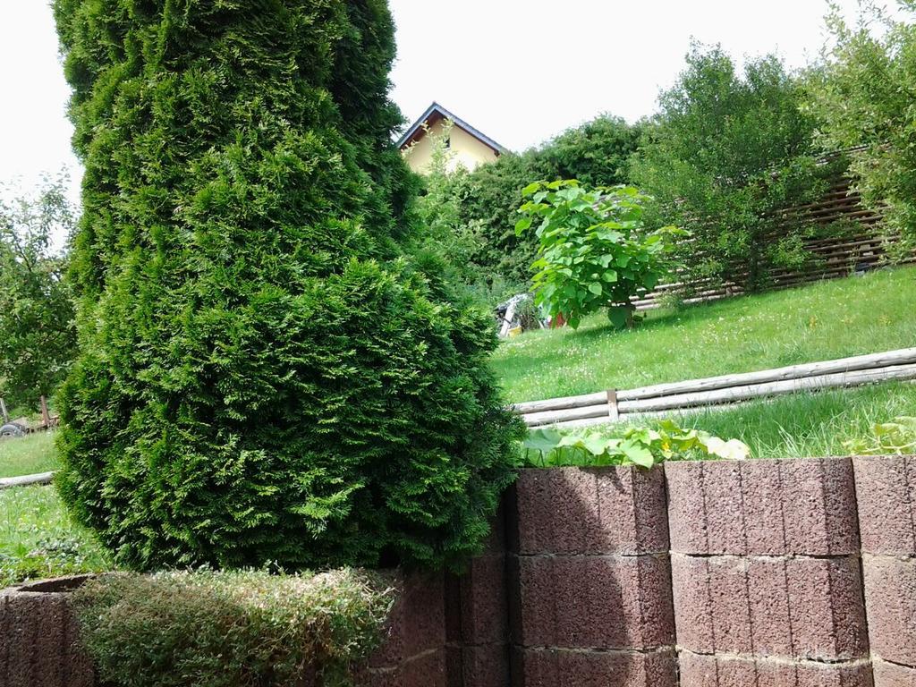 Ferienhaus Waldblick Sangerhausen Dış mekan fotoğraf
