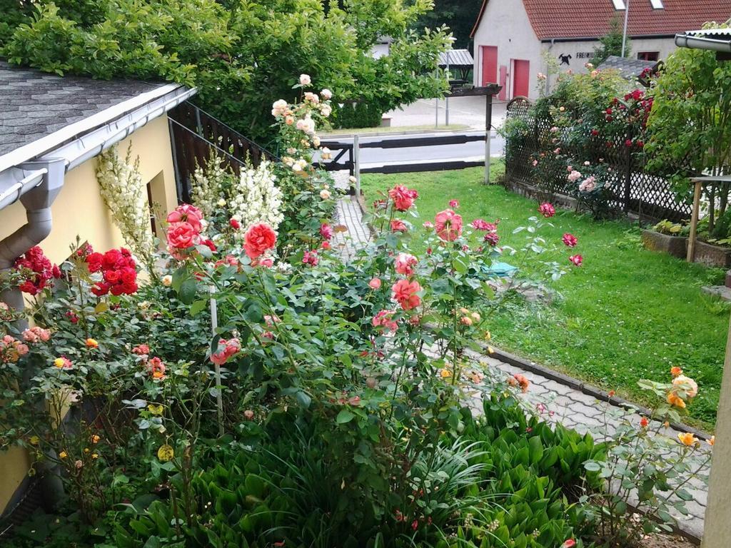 Ferienhaus Waldblick Villa Sangerhausen Dış mekan fotoğraf