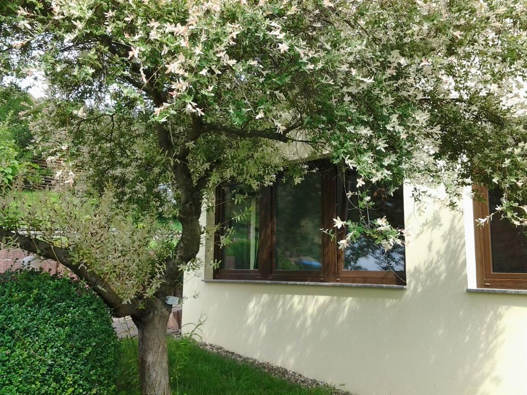 Ferienhaus Waldblick Sangerhausen Dış mekan fotoğraf